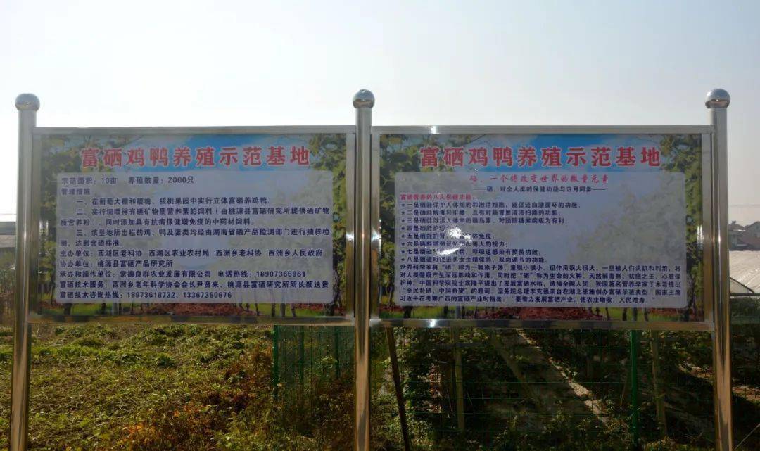 西湖良群农业富硒鸡鸭养殖示范基地揭牌