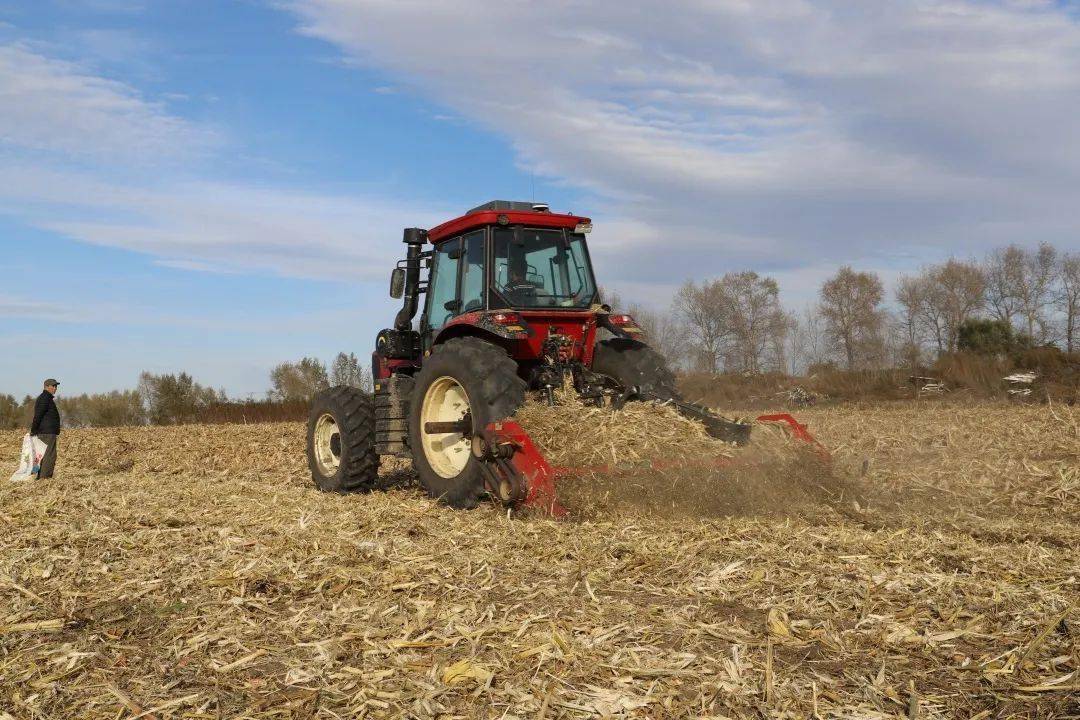 北大荒集团哈尔滨有限公司秸秆还田培肥地力助增收