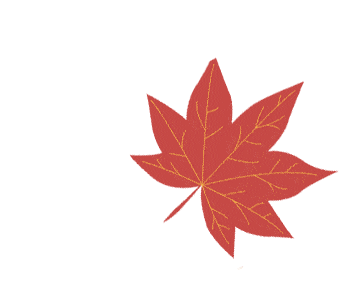 保密小常识涉密文件的清退和销毁