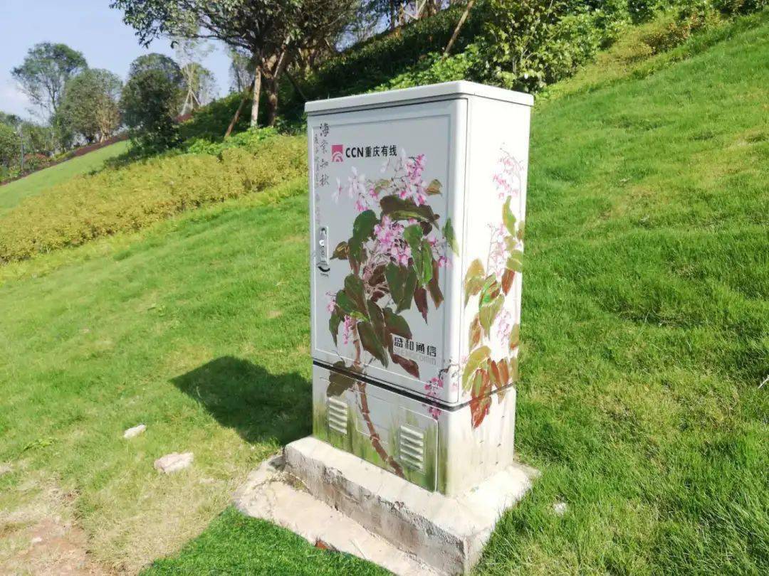 香国公园配电箱旧貌换新颜