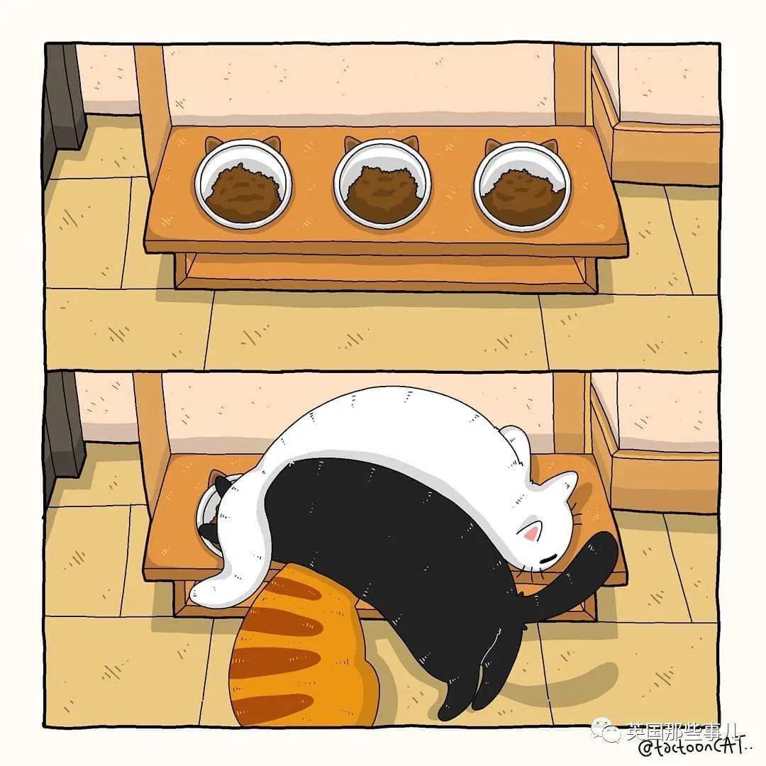 画师将各种沙雕猫猫图卡通化这搞笑的可爱画风也太魔性啦