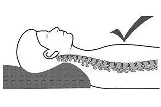 枕头是用来维持颈椎自然生理曲度的