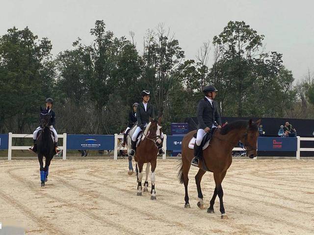 西南区马术俱乐部联赛活动开幕超160对人马组合参加比赛