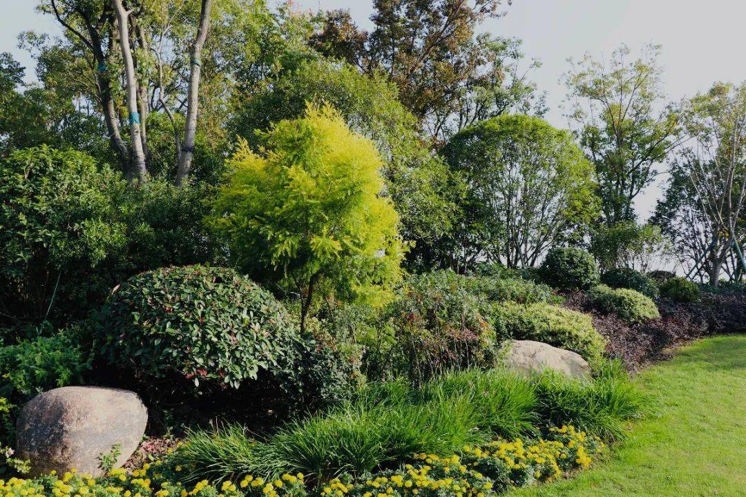 实施内容为百川路机非隔离带及两侧20m绿化带栽植,配套景观亮化,给排