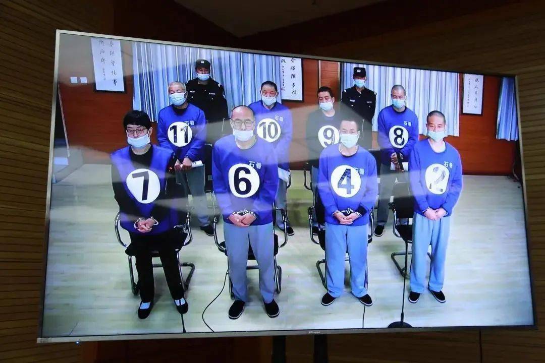 王海等人组织,领导,参加黑社会性质组织案公开庭审