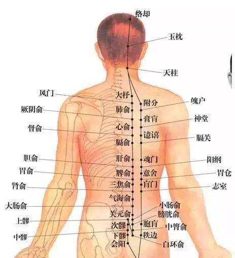 腰的准确位置示意图图片