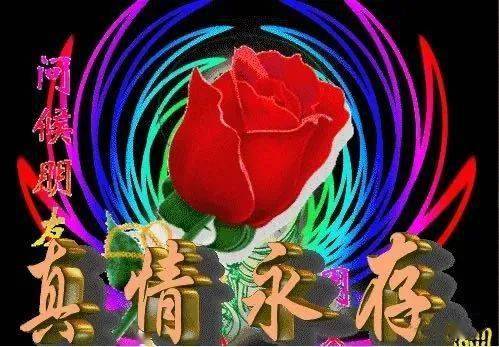 相互交流是真情 朋友之情永远存 无论是远还是近 最美祝福送给你 愿你