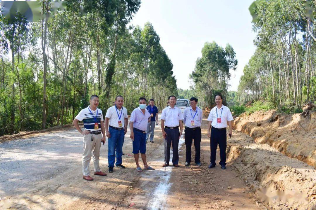 廉江人大代表跟踪监督,助推农村道路建设!_雅塘镇
