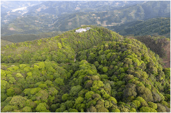 保护区以常绿落叶阔叶混交林,水源涵养林及珍稀野生动植物为保护对象.