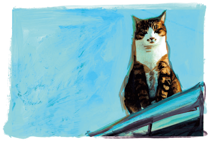 《海边的卡夫卡》的咪咪和青花,《奇鸟行状录》的绵谷升,《食人猫》的