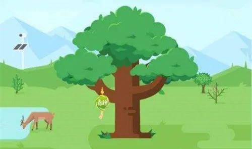 或者是穿梭在蚂蚁森林偷能量种树,为干旱地区种一颗樟子松,梭梭树?