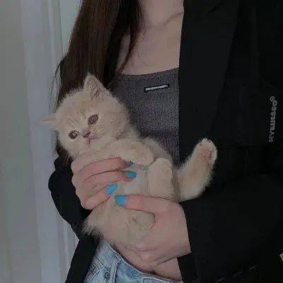 女生头像高清霸气超拽女头像