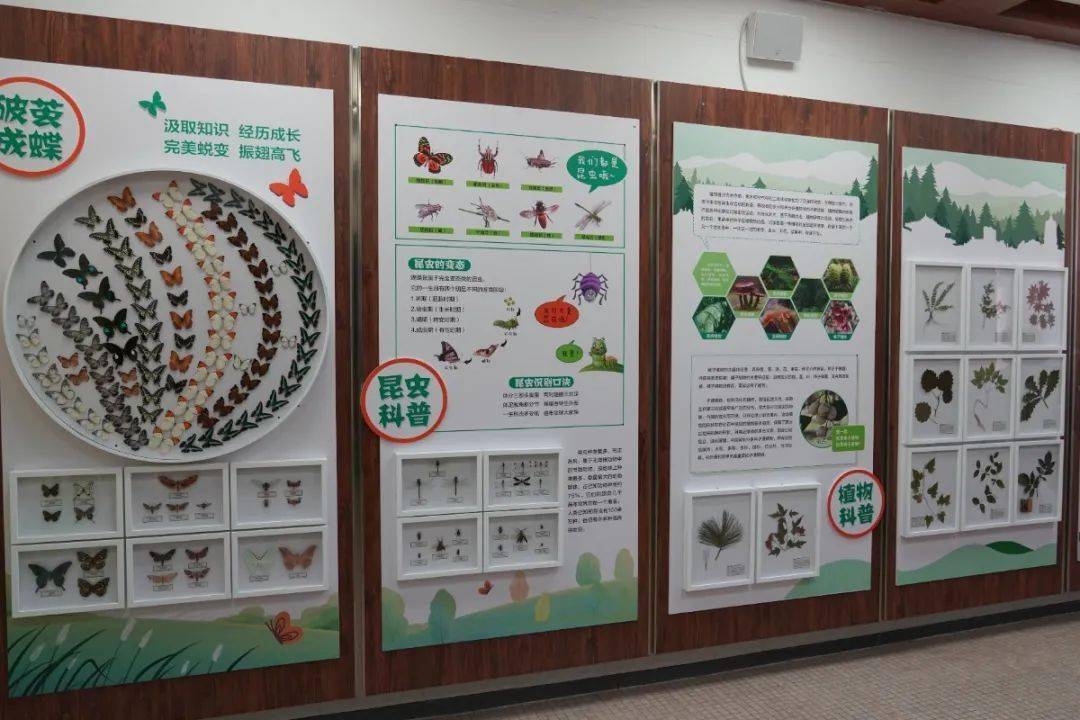 资讯森林科普角校园大课堂走进辽阳市中小学森林生态科普角