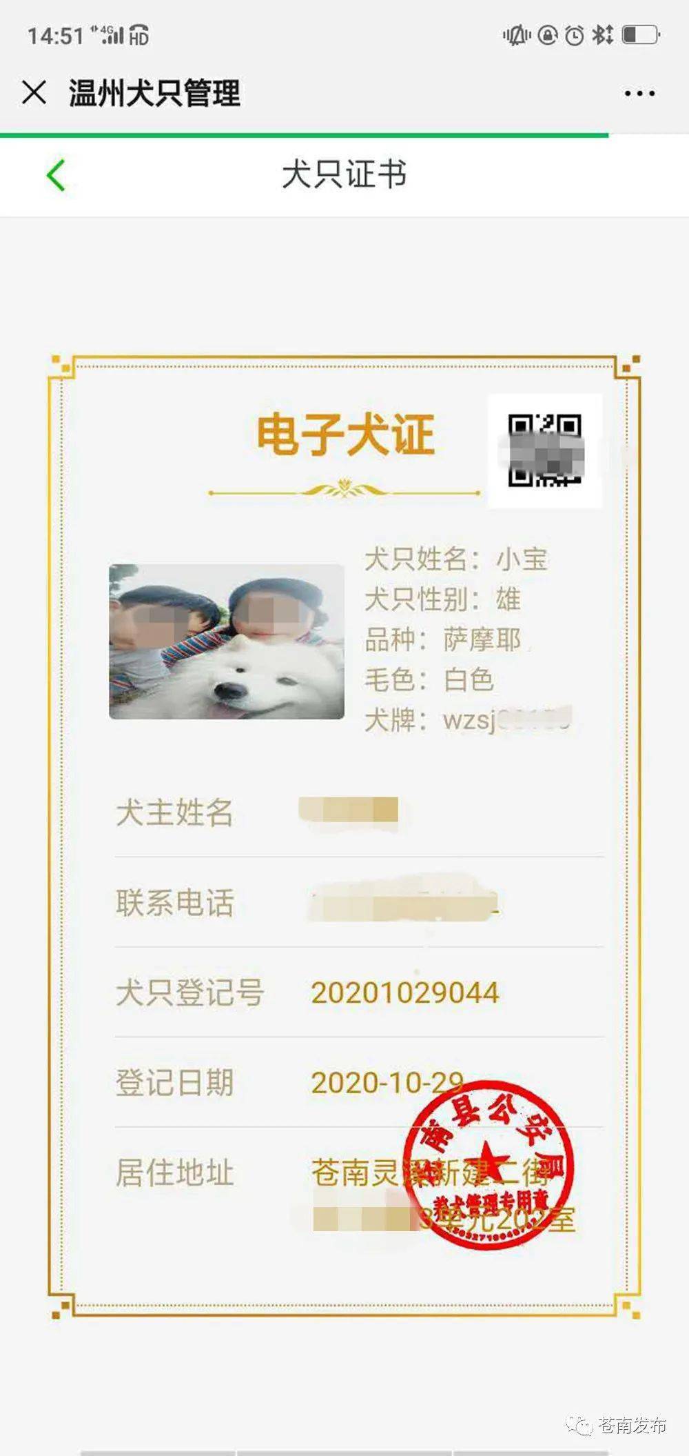 来了苍南发出首张电子犬证