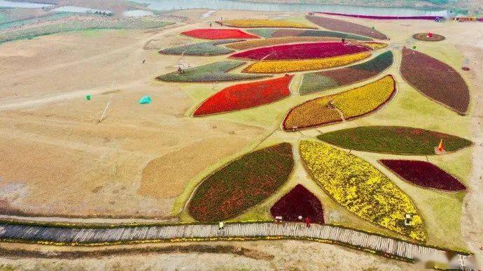 来花海花田,邂逅美丽的焦岗湖!