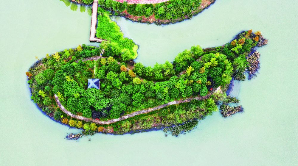 湖心岛