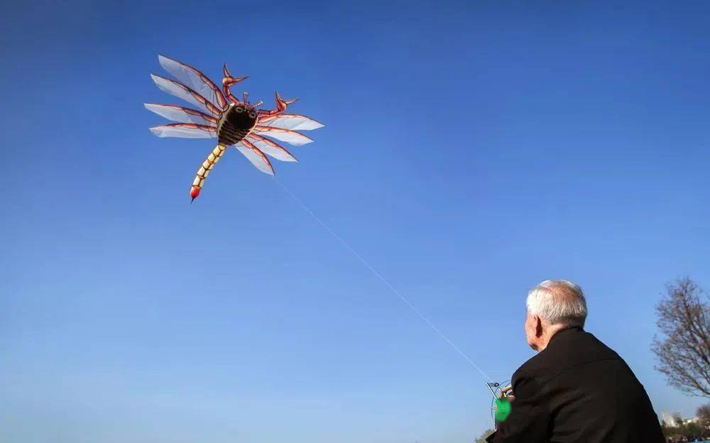 张天伟看了人称"风筝魏"的天津著名风筝艺人魏元泰制作多个风筝的故事
