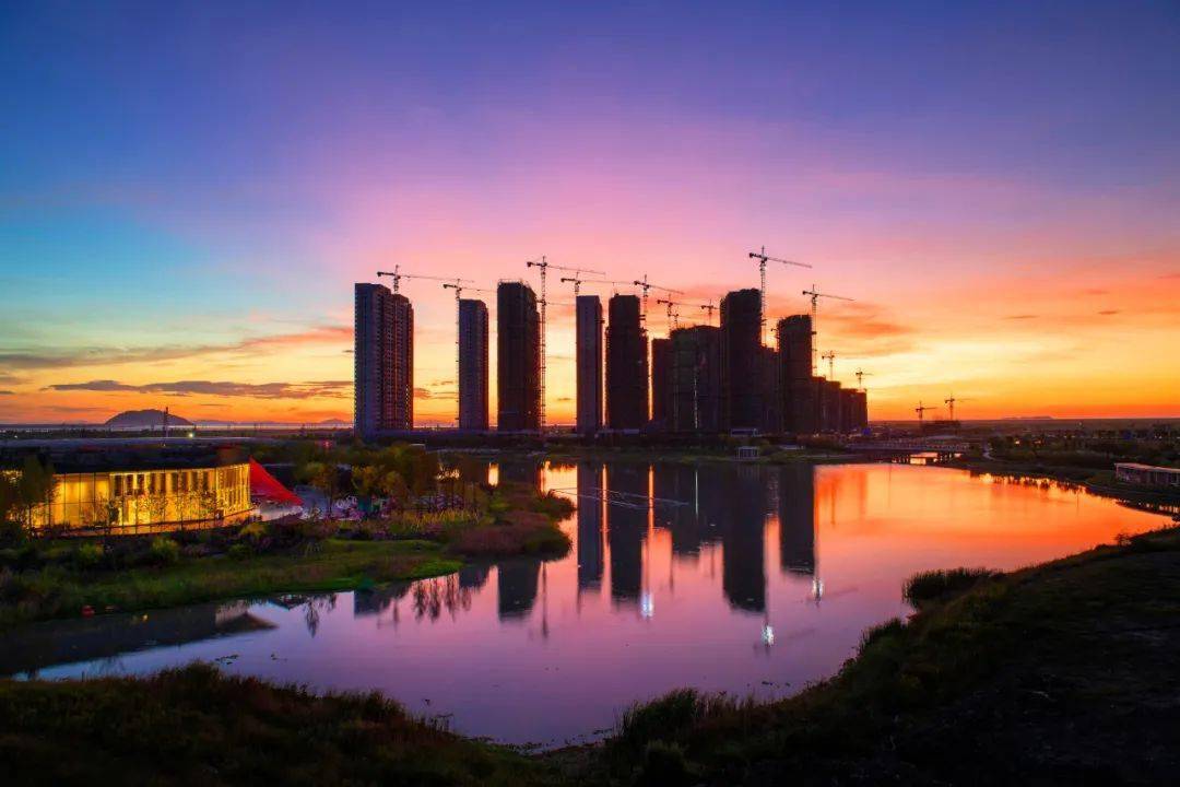 蛟龙出港名家写龙港丨龙港寻梦