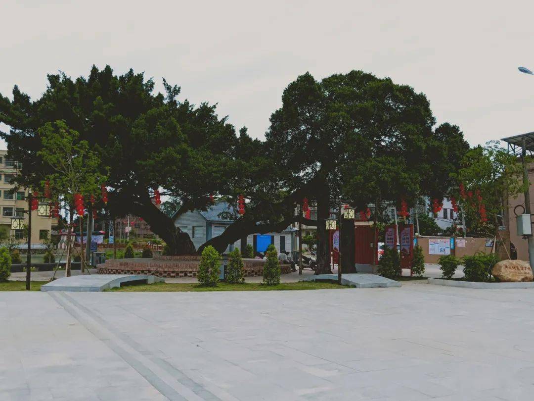 溪西镇这个村亮出一张新名片