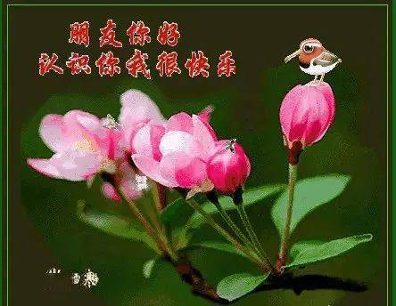 朋友你好,认识你我很快乐