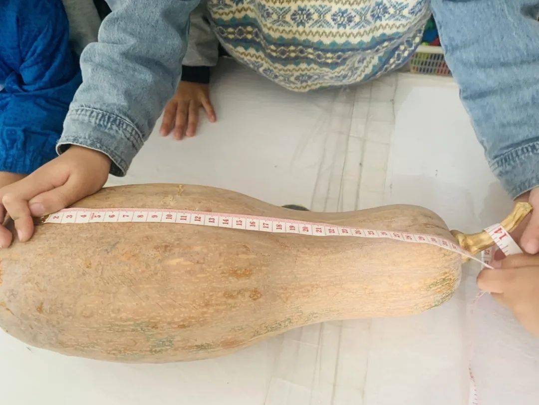 称重南瓜别看南瓜就这么小,重量可不小呢,我们都快抱不动了.