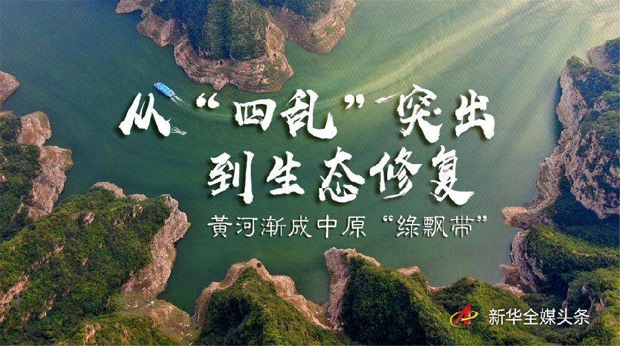 快看,中华秋沙鸭回来了!_黄河