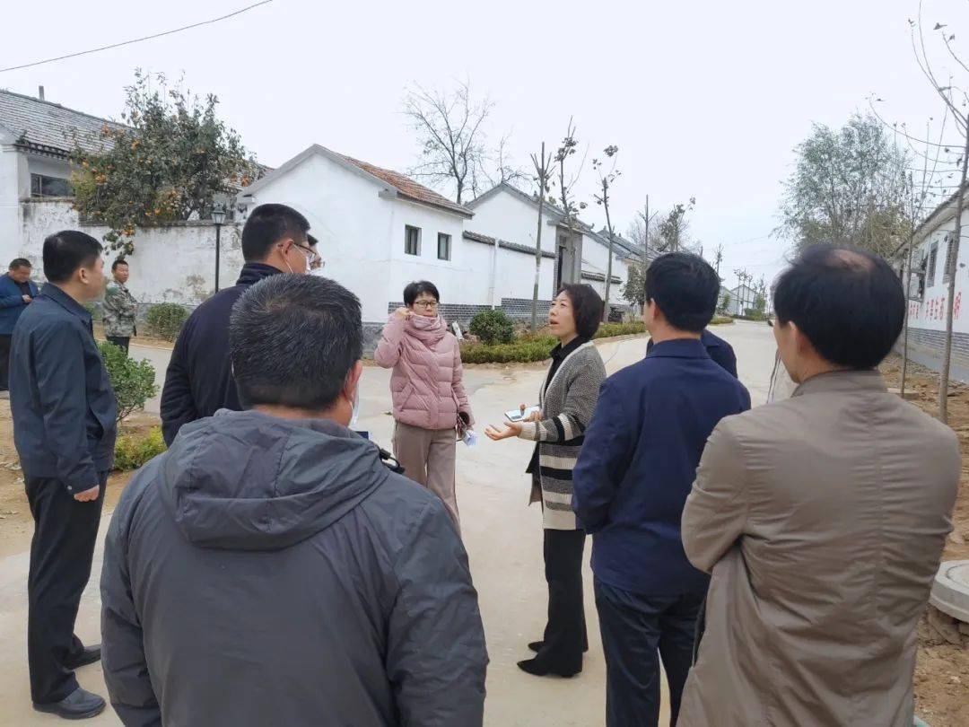 徐莹首先查看了解了窝铺村的规划设计,施工进度,村居环境,村容村貌,接