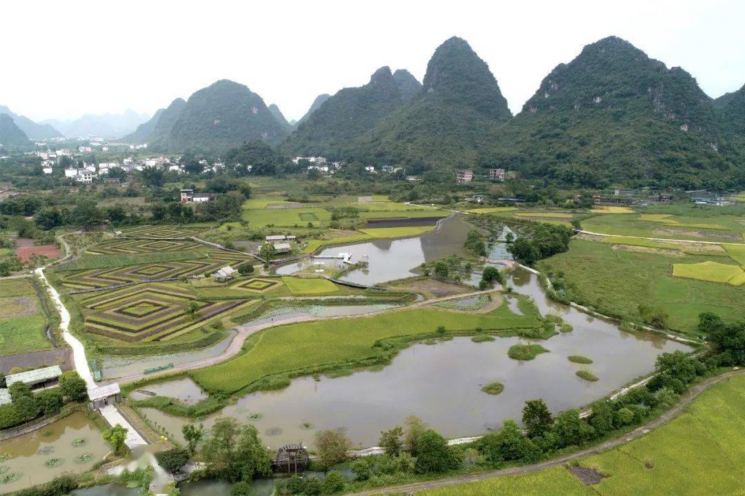 根据桂农厅发【2020】113 号文件,位于阳朔县白沙镇旧县村的阳朔县