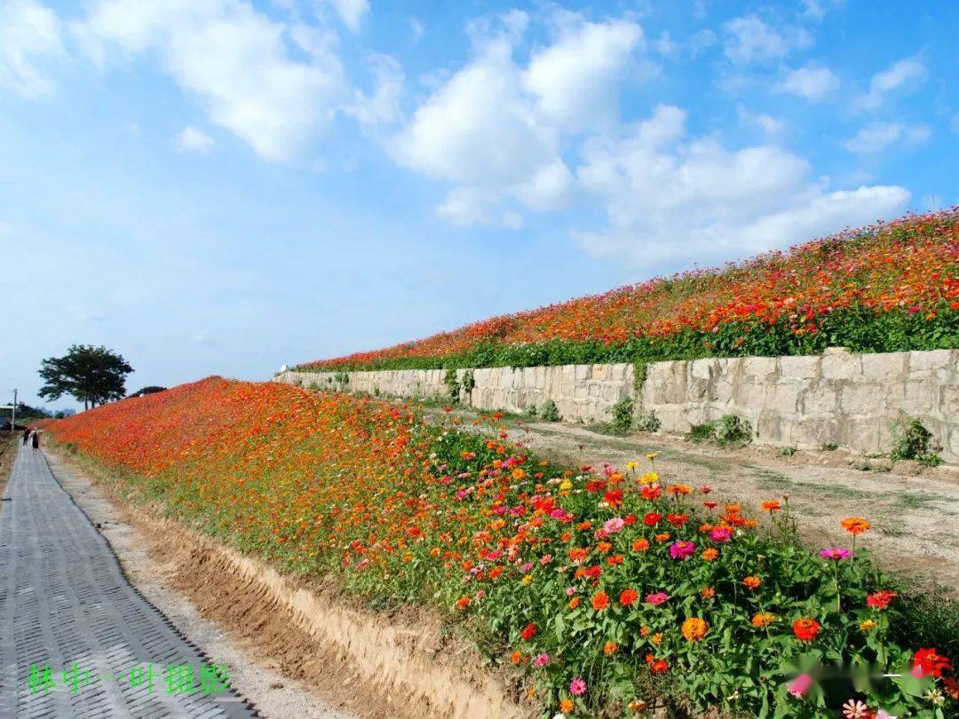 洋光村花堤,风景美如画!_潮州