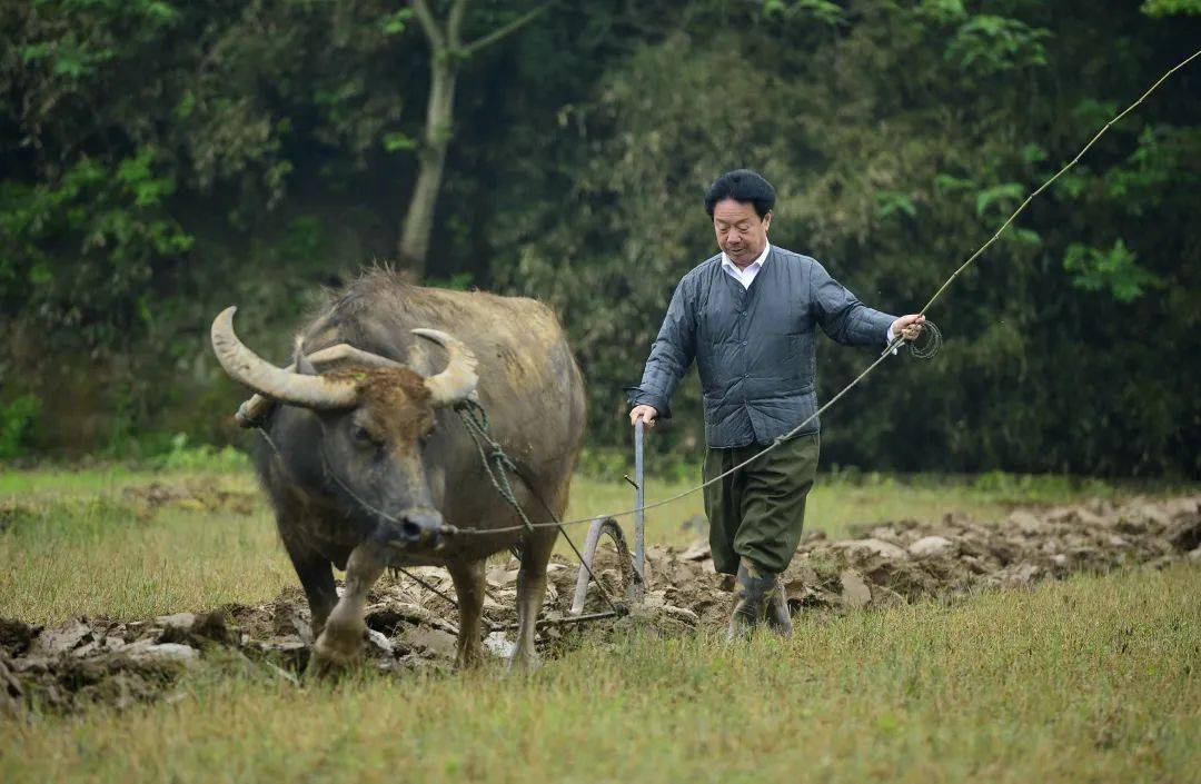 对话南昌原市长李豆罗从农民到市长四十年当回农民花了四小时