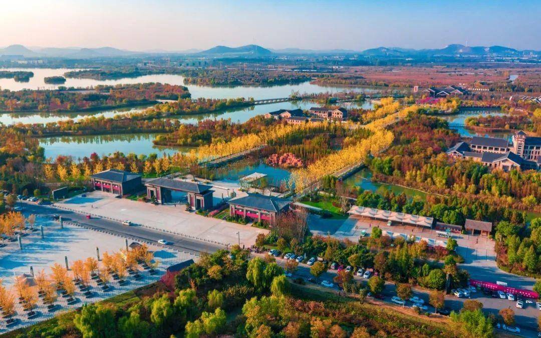 美丽江苏每日一景丨徐州潘安湖池杉林色彩斑斓的水上世界迎来醉美时节