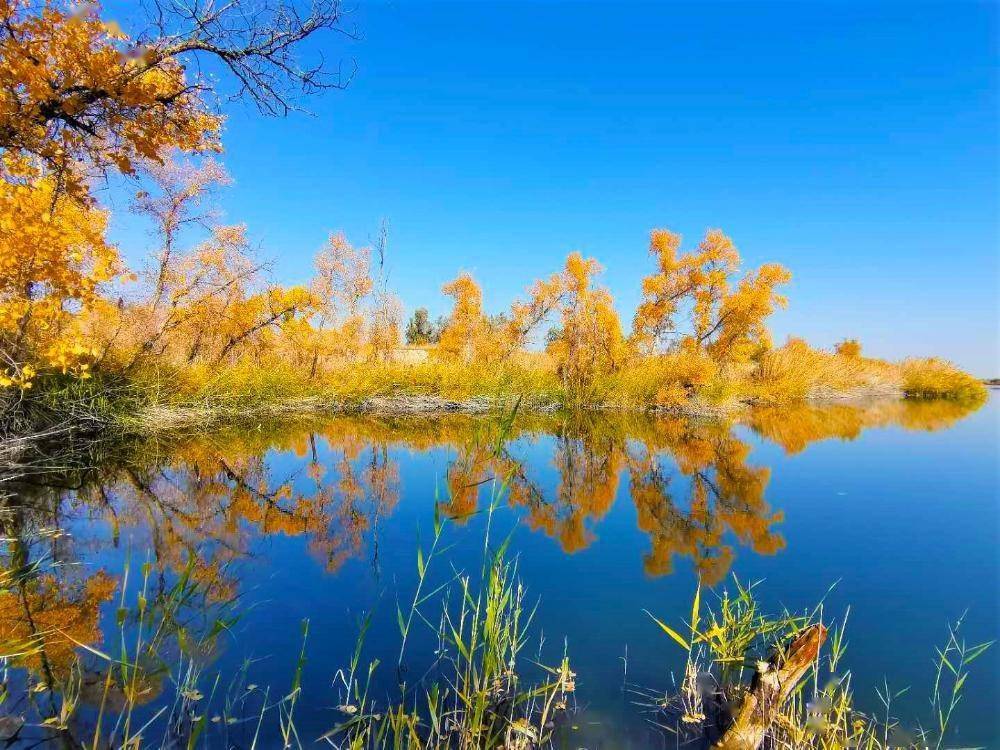 新疆乌苏市古尔图怪湖秋色如画