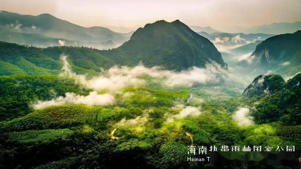 让大家爱上热带雨林海南将包装策划一批国家公园旅游项目