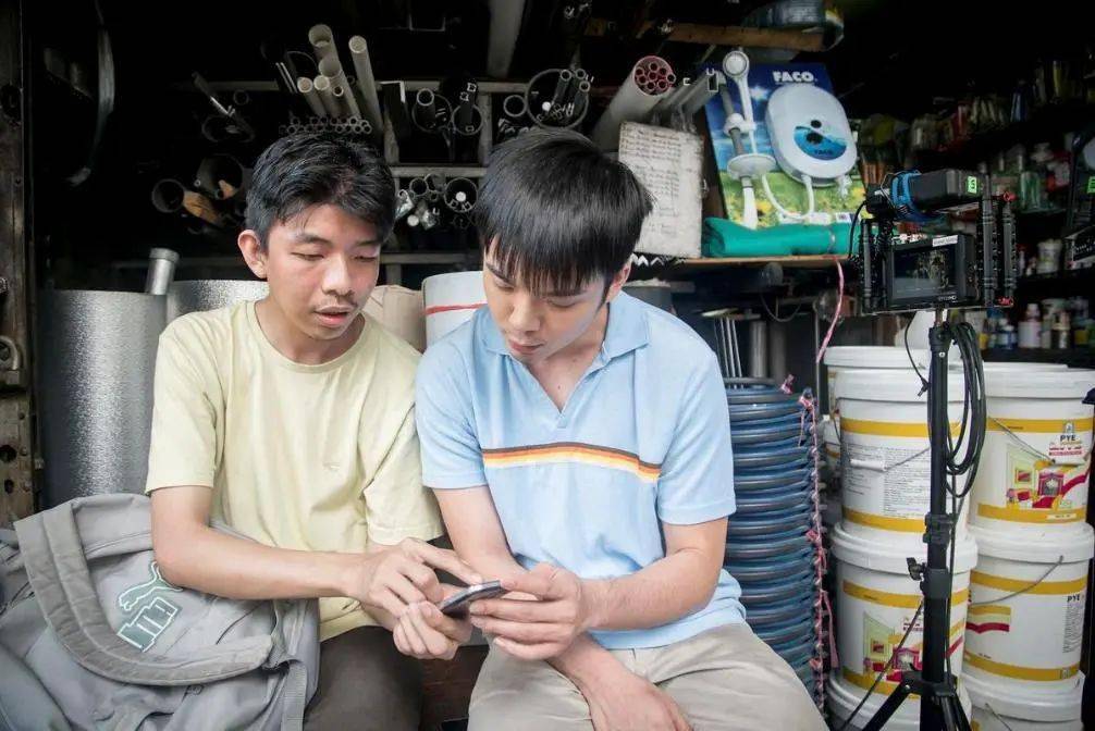 电影都去哪了11月在电影院该看啥