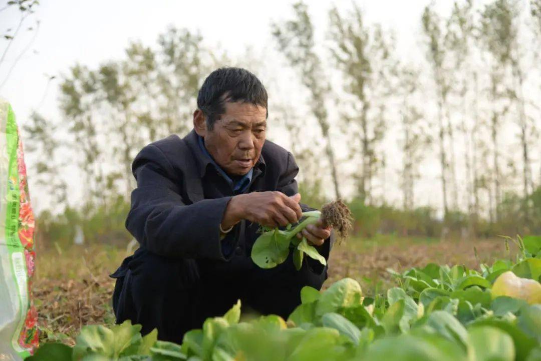 中国好人唐奎之刻薄待己倾力为善