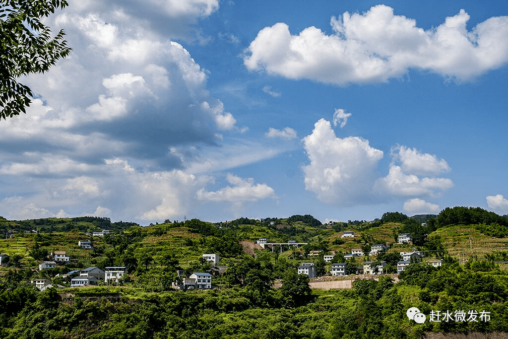 赶水镇香山村一景每日四居社区组织人员修建花园镇统计站工作人员在石
