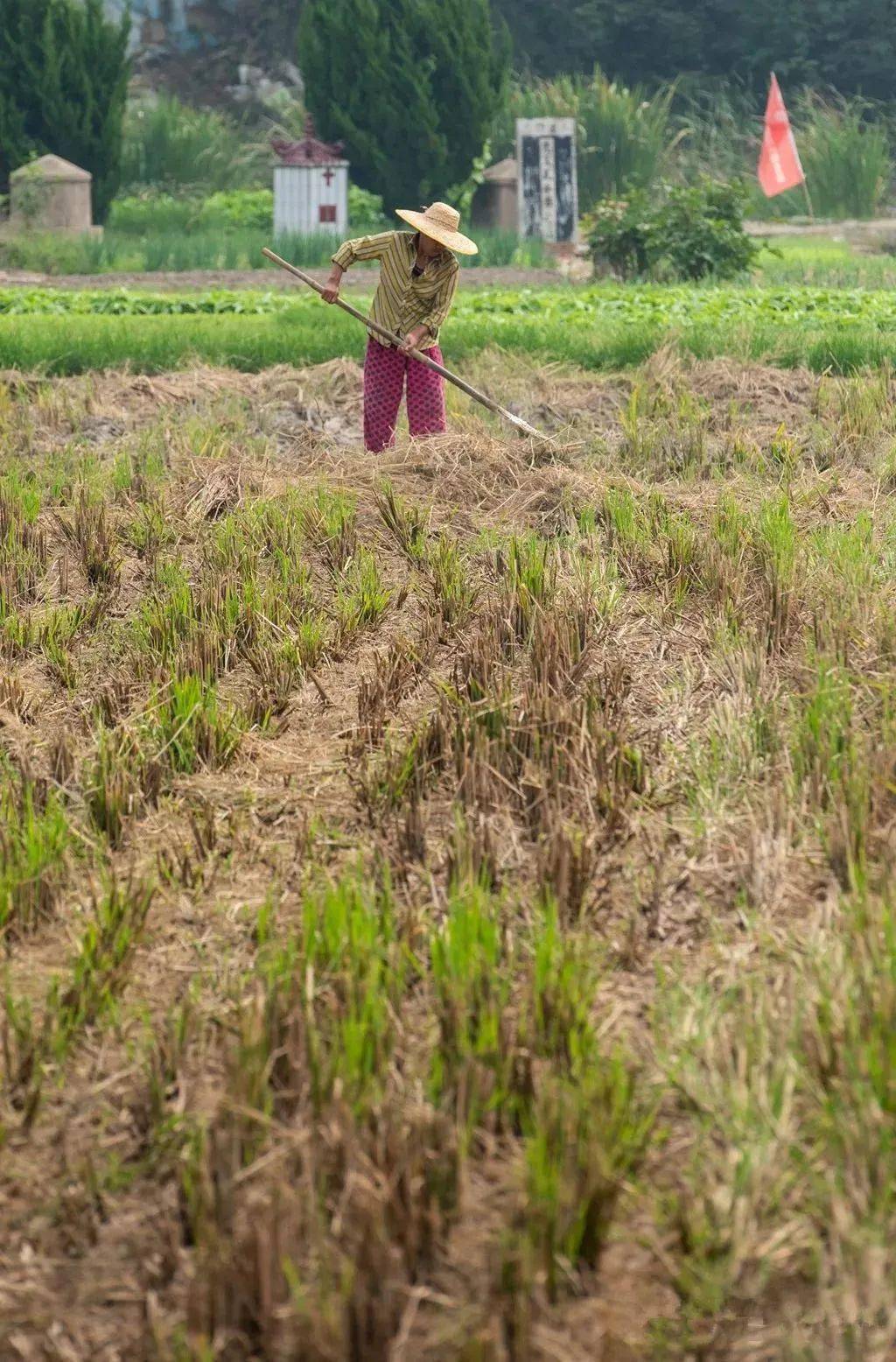 跟着镜头行走乡下这是你印象中的田园生活吗