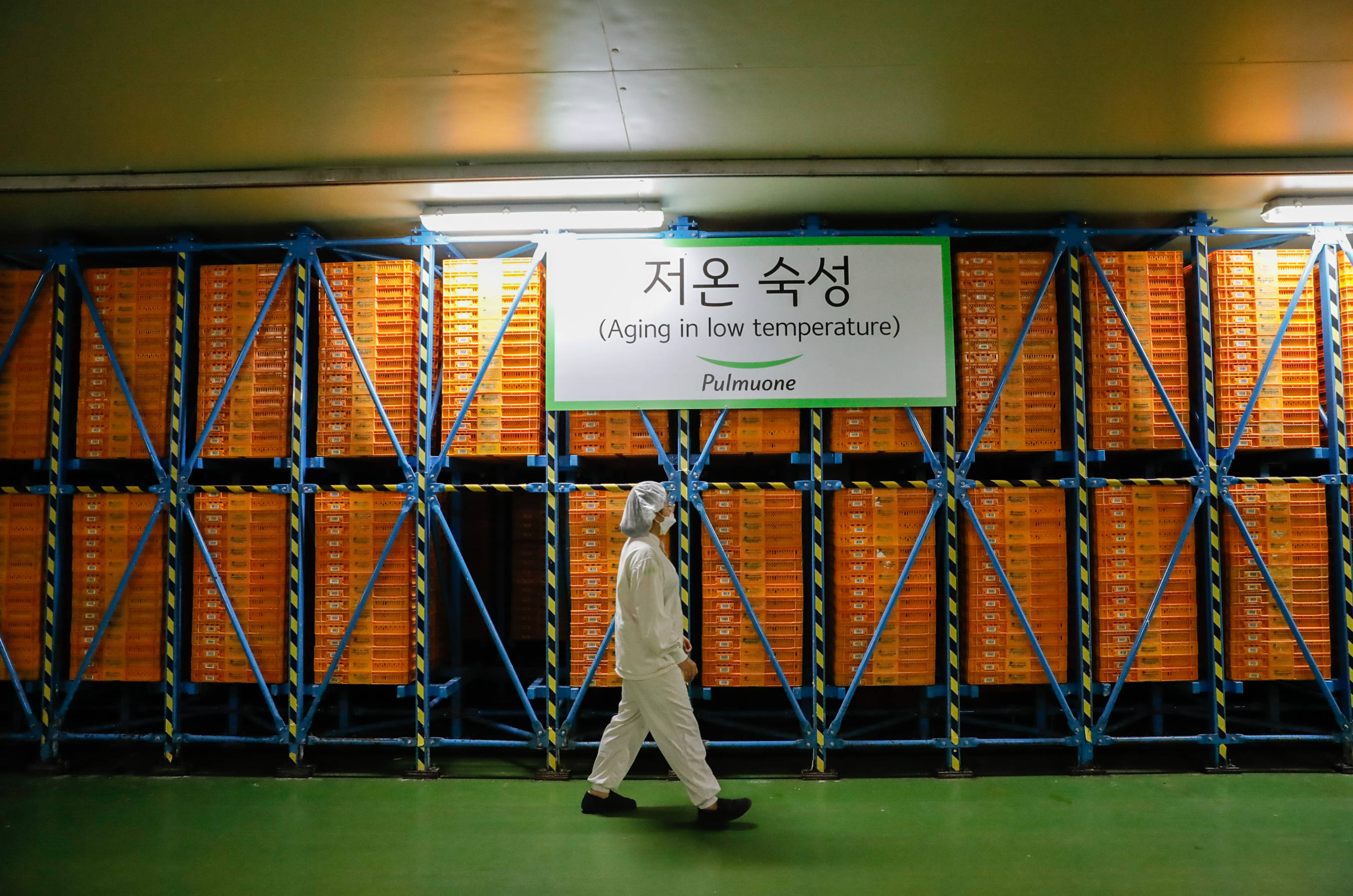 探访进博会参展商:韩国绿色食品企业圃美多的豆腐工厂