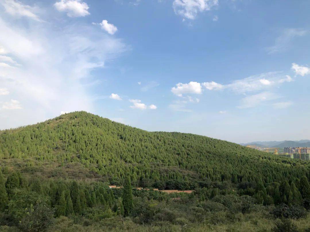 唐冶对比西客站最大的优势就是由占地6000多亩地的围子山,济南靠山的