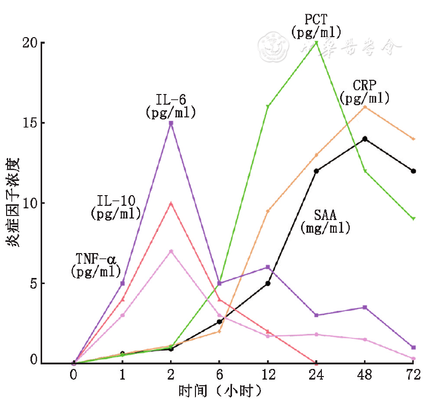 急性呼吸道感染病原体的临床检验诊断路径
