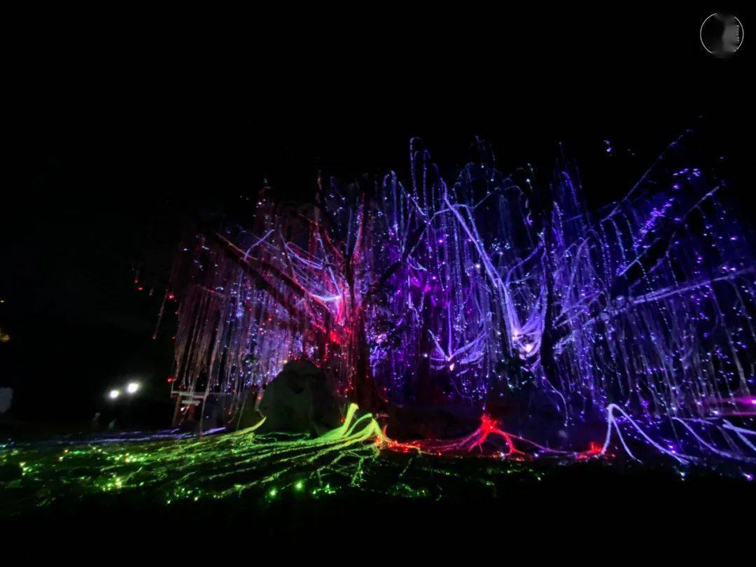 在稀疏树影中在星光中氤氲的夜景似乎染上了一层淡淡的诗意桃源雅境