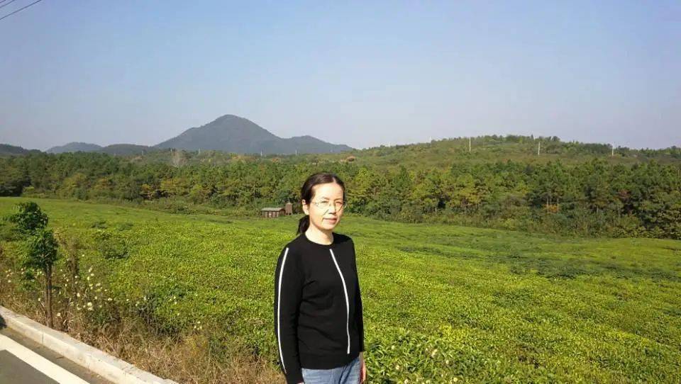 孙萍:2020年度"丹阳好老师".