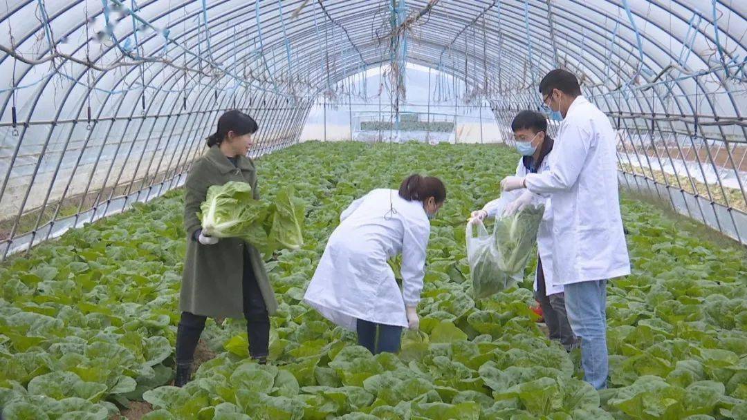 什么是p站b站e站_质检站_a站b站c站是什么