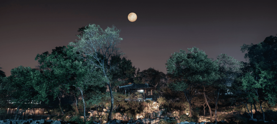 开放10天每天只能预约50人拙政园首个夜游活动内测了几乎不要钱