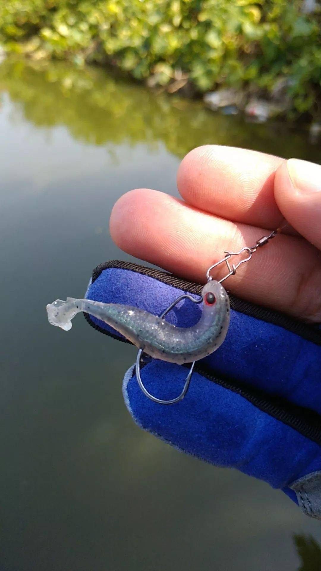 得偿所愿路亚淡水白鲳,真是过足了钓瘾!(下)