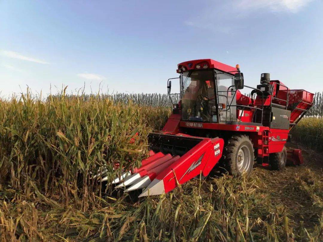 机械化助推临河农业步入现代化发展快车道_农具