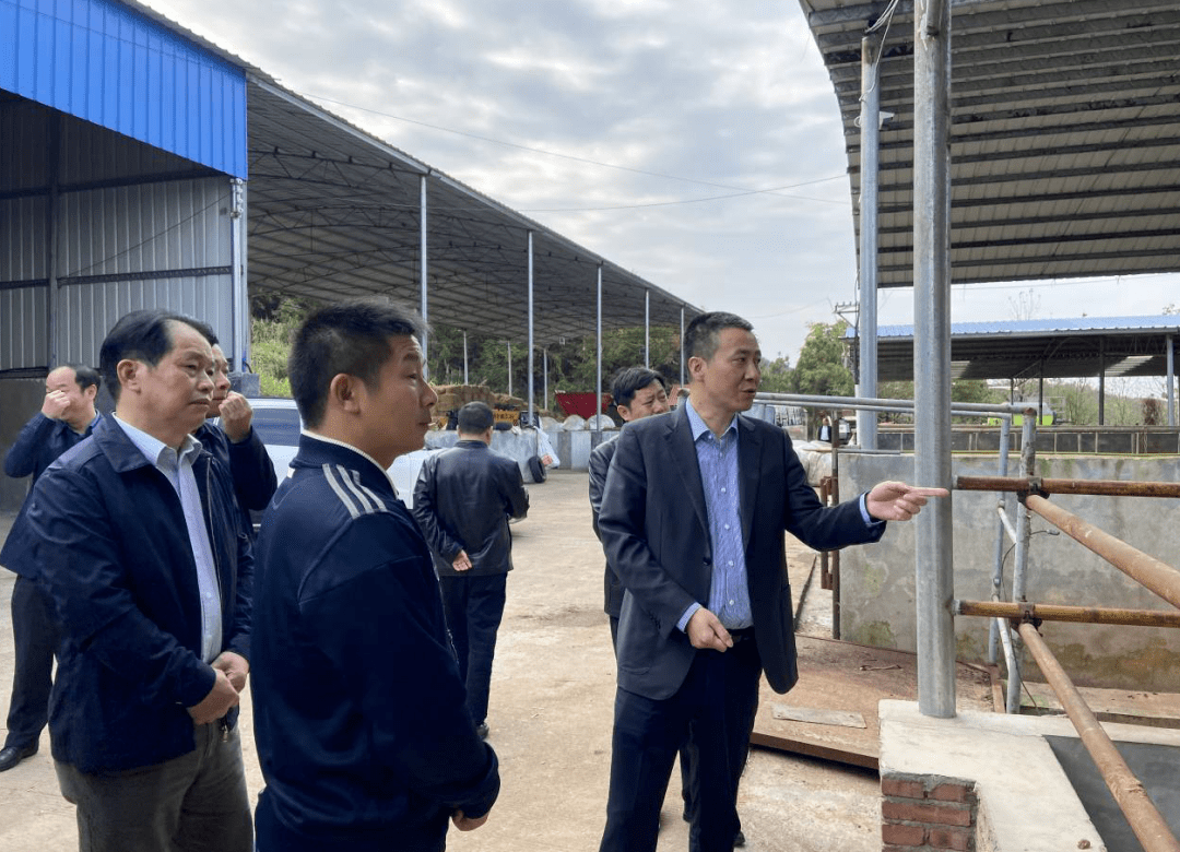 吴旭东到新市镇参加市人大代表小组活动