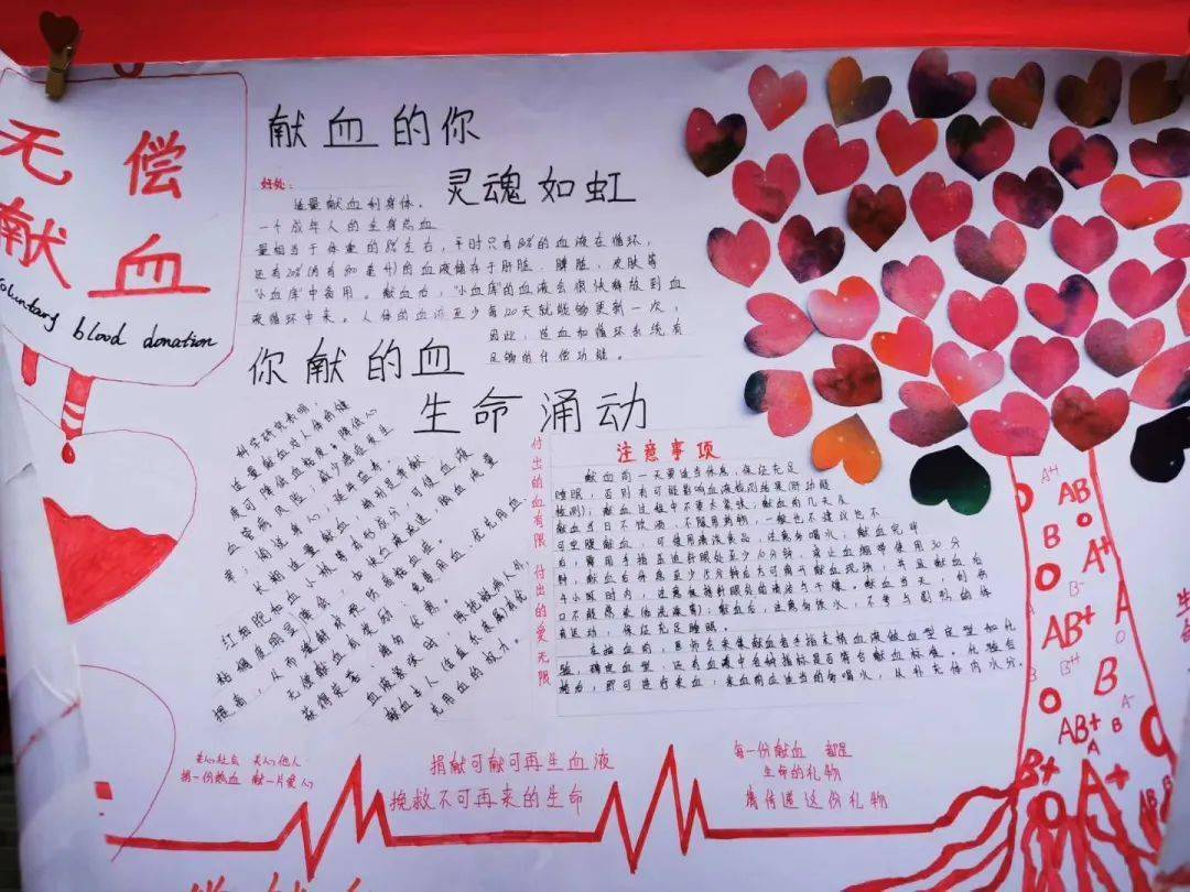 学长们还为宣传无偿献血制作了手抄报,一笔一画细心书写关于无偿献血