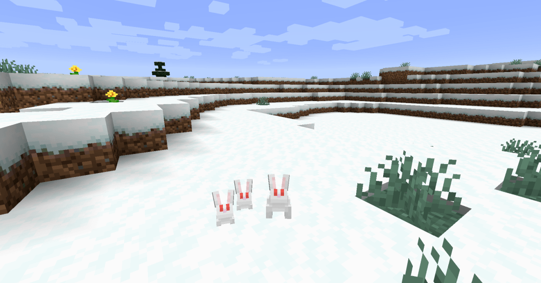 或者有积雪的冻原,沙滩