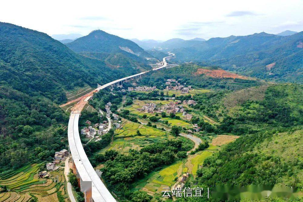 信宜平塘:云茂高速飞架山间 秋色尽染美不胜收